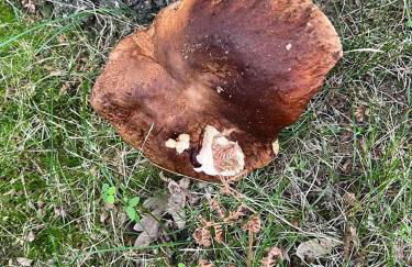 Apartamento Rural El Herrero, vistas espectaculare - Photo 16