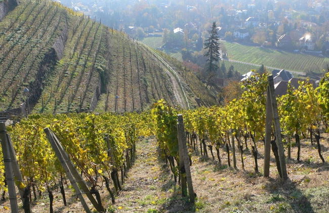 Nice Apartment in Radebeul - Foto 16