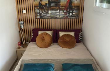 Paris-Zénith-bienvenue-terrasse-Netflix - Foto 5