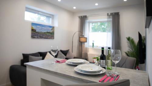 HANNIBAL - Design Apartment Lavendel 4, VW Nähe, Parkplatz, Küche, HighSpeed-WLAN, Fitness, Solarium - Foto 4