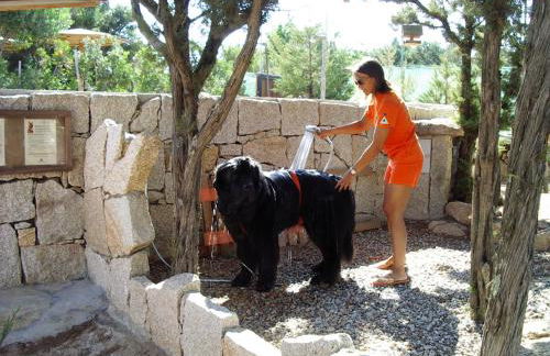 Residenza Capriccioli - Foto 69