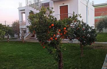 Villa Evans - Foto 29