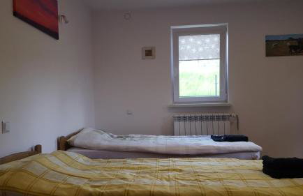 Alpaka-Ranczo AFF - Foto 42