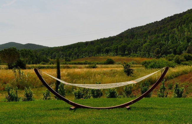 Podere L'Olmaia - Foto 48