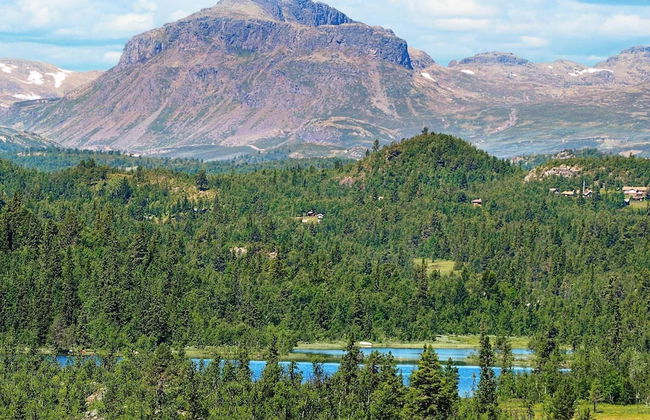 4 Person Holiday Home in Hemsedal - Foto 16