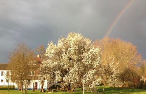 Spacious Apartment in Boddin With Garden - Foto 14