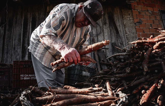 Garopaba Cachaça Tour - Photo 5