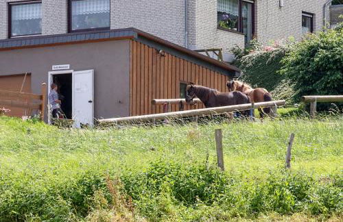 Ferienwohnung Roderath - Photo 28