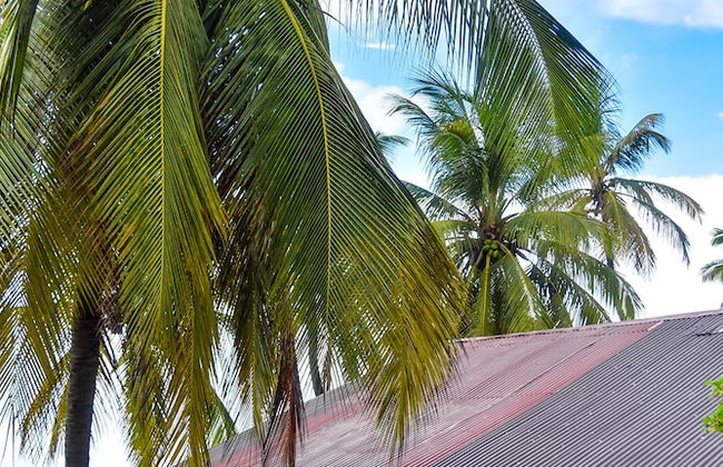 Jambiani House - Photo 1