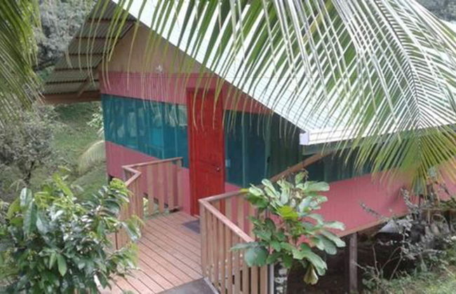 Drake Lapas - Foto 26