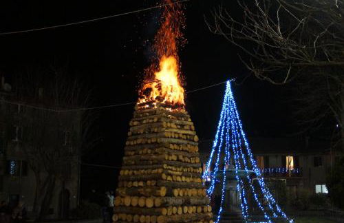 La Lamponaia - Foto 39