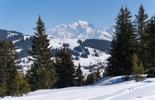Les Saisies appart 1 chambre au pied des pistes - Foto 14
