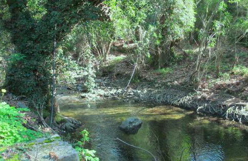 Angela's River Paradise Cottages - Foto 12