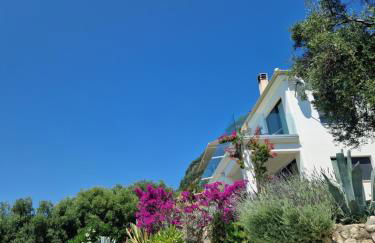 Villa Olivia - Photo 40