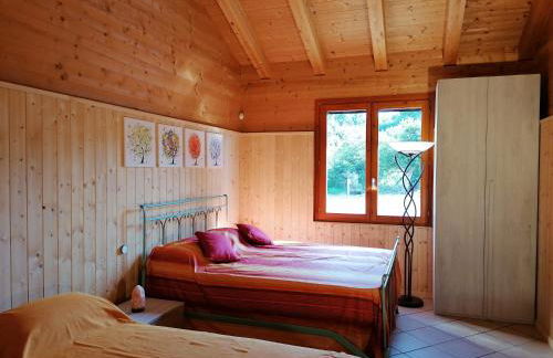 Agriturismo bio Apipoli - Foto 40