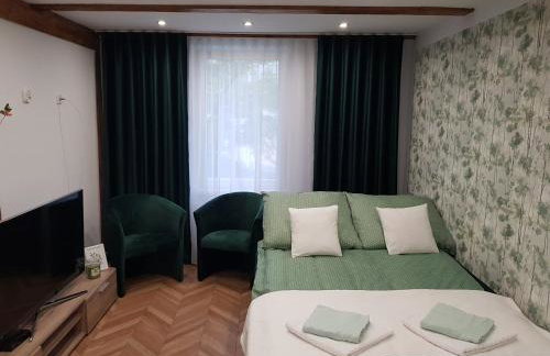 Apartament "W Sz" pod Klonami - Foto 9