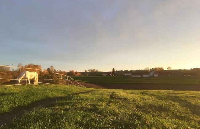 Ferienhof Löw - Photo 31