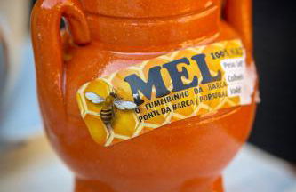 Casa das Afonsas - Foto 14