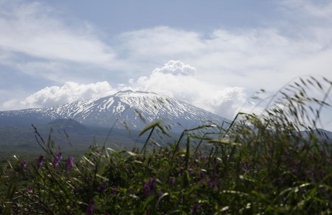 Agriturismo San Cataldo Farm Home - Photo 59