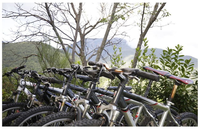 Agriturismo Montagna Verde - Foto 36