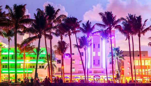 Miami Night Bus Tour - Photo 5