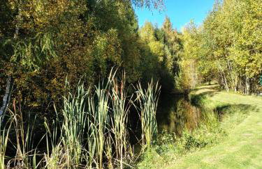 Kolorowe Wzgórze Zagórze - Foto 58