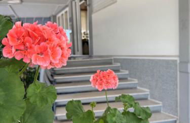 Residence Moresco - Foto 35