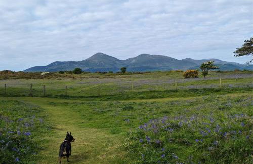 The Paddock - Foto 43