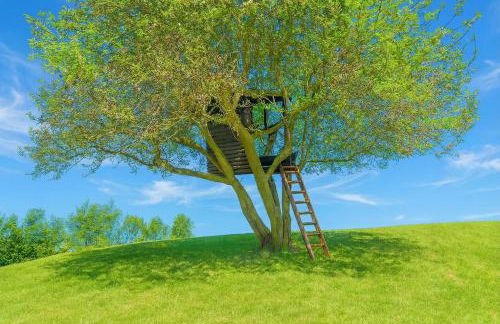 Villa Il Castagno - Foto 44