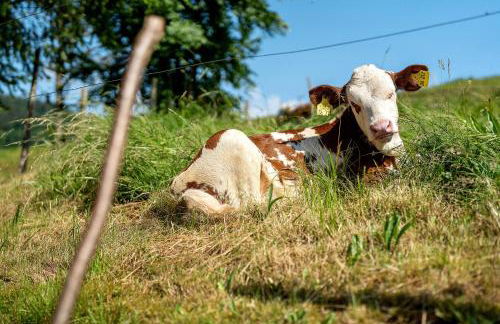 Danielenhof - Foto 13