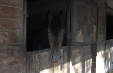 La Casa di Lea - Foto 27