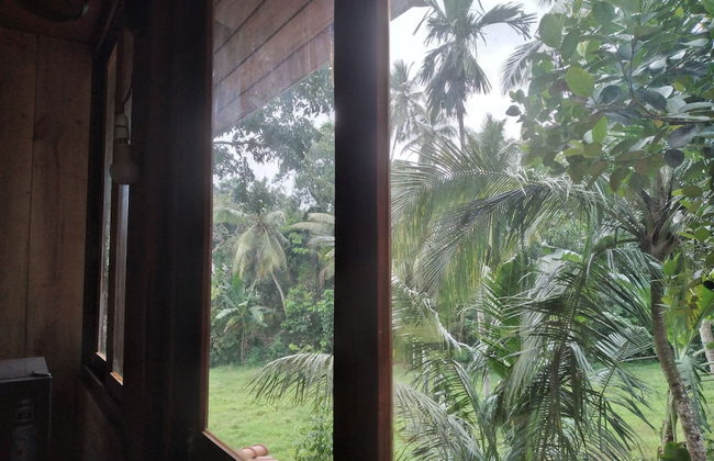 Green Herbal Ayurvedic Eco-Chalets - Foto 17