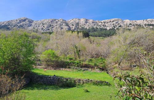 Apartman Put - Photo 48