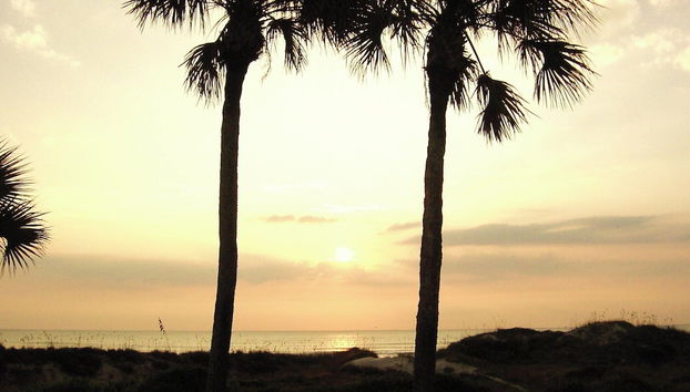 Summerhouse by Distinctive Beach Rentals - Foto 4, Servicios del alojamiento