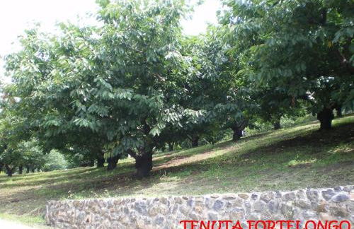 Tenuta Fortelongo - Foto 92