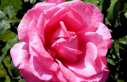 Ferienwohnung Eva Maria - Foto 24