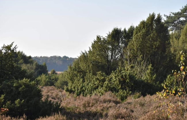 Stay at This Beautiful Accommodation in De Kiel - Photo 26