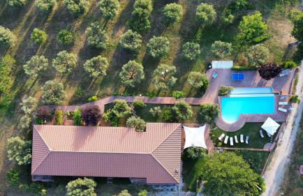 Azienda Agricola Passaro - Photo 2