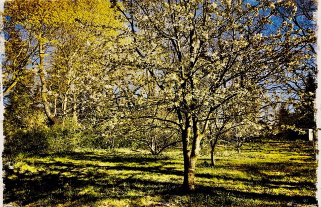 Gorgeous Apartment in Neuburg With Terrace - Foto 51