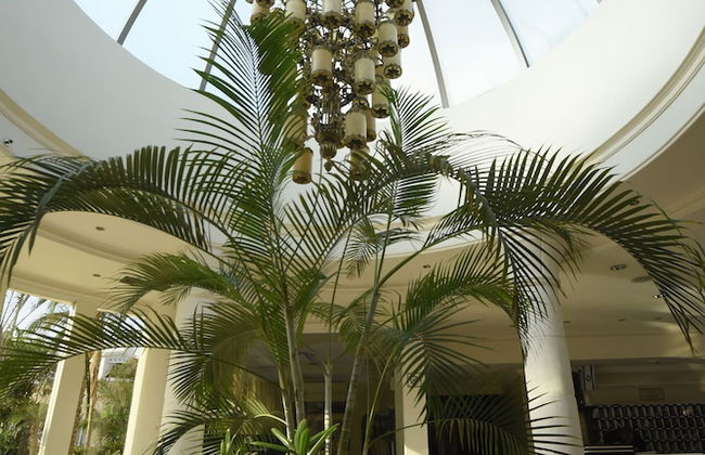 City Resort Palmore - Foto 25