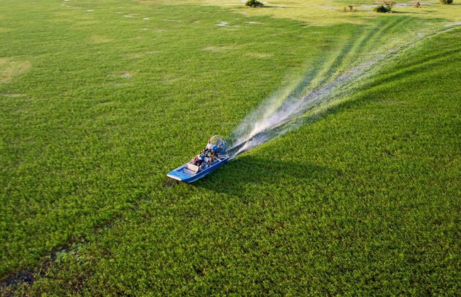 Helicopter Tour and Wetlands Cruise Safari - Photo 7