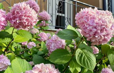 Cà Framari - Casa Vacanze - Foto 19