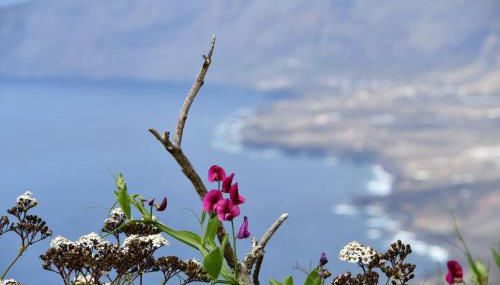 SABINOSA RURAL AREA Casa Benito - Foto 3