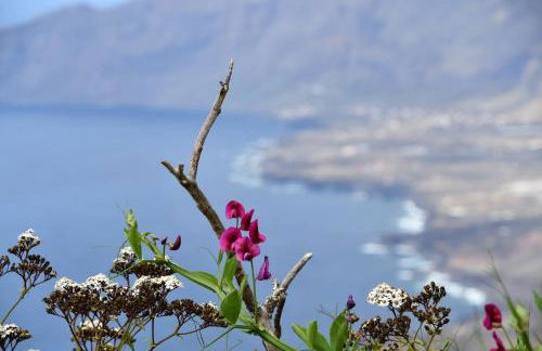 SABINOSA RURAL AREA Casa Benito - Foto 3