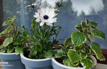 SMARAGD RIVER near Rastoke & Plitvice Lakes - Foto 33