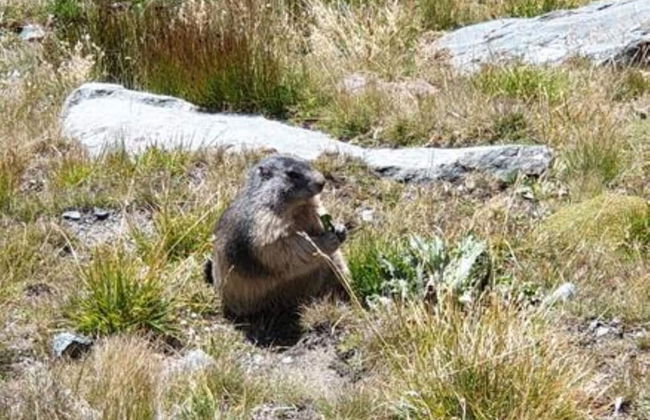 Delightful Holiday Home With Sauna - Foto 30