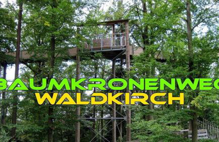 Ferienwohnung Am Rebberg - Photo 15