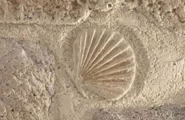 Villa Albamonte - Foto 17