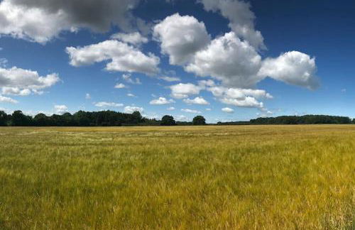 Cygnets Nest - Foto 35