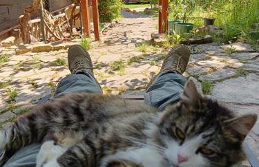 Old house by the stream - Photo 33